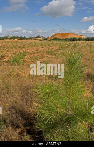 Ripristinato ridge e il solco zona di brughiera di ex cava di ghiaia Foto Stock