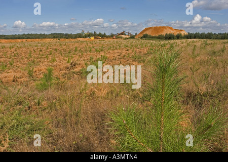 Ripristinato ridge e il solco zona di brughiera di ex cava di ghiaia Foto Stock