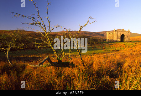 La mattina presto in luce il lugubre lonely rovina il male la rovina del castello di Hermitage Liddesdale Scottish Borders Scotland Regno Unito Foto Stock