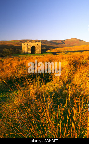 La mattina presto in luce il lugubre lonely rovina il male la rovina del castello di Hermitage Liddesdale Scottish Borders Scotland Regno Unito Foto Stock