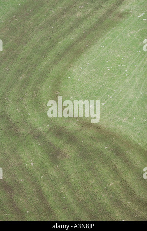 La fertilizzazione di un prato di montagna con concime, Alto Adige, Italia Foto Stock