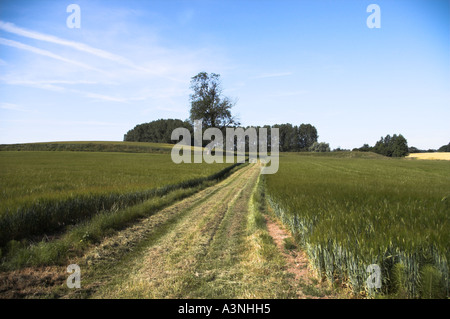 Paesaggio vicino grande Bardfield Essex REGNO UNITO Foto Stock