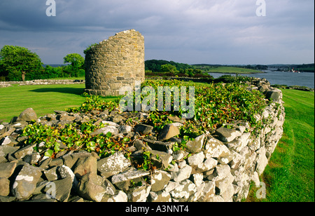 Il moncone della torre rotonda all'interno di massicce mura del monastero Nendrum, Isola Mahee, Strangford Lough, Co. Down, Irlanda del Nord. Foto Stock