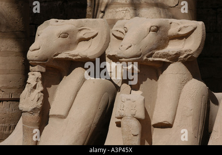 Ram-guidato sfingi nel cortile del tempio di Amon a Karnak vicino a Luxor (TEBE), Egitto Foto Stock