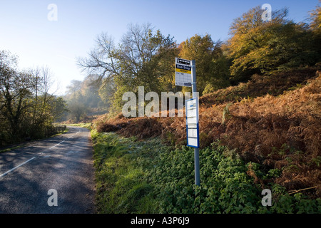 Il BUS STOP sulla strada di campagna nella foresta di DEAN GLOUCESTERSHIRE REGNO UNITO AUTUNNO Foto Stock