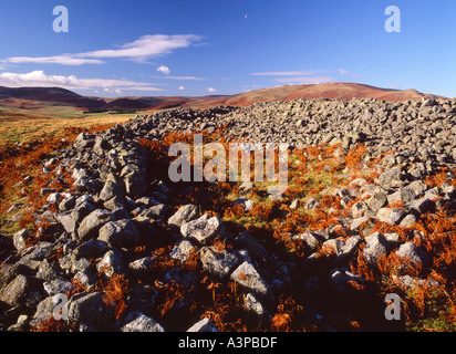 Brough legge Hill Fort, vicino Ingram, Northumberland Inghilterra Foto Stock