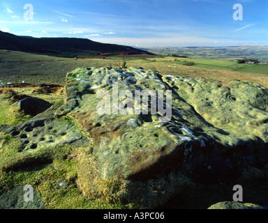 Cup e anello pietra, Lordenshaws, vicino a Rothbury, Northumberland Foto Stock