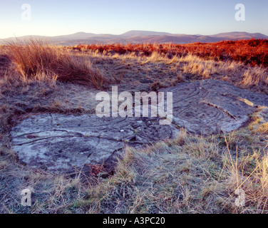 Cup e anello pietra, Dod diritto, vicino a Doddington, Northumberland Foto Stock