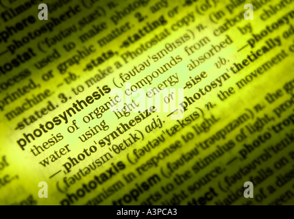 CLOSE UP di dizionario pagina che mostra la definizione della parola LA FOTOSINTESI Foto Stock