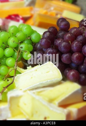 Selezione di formaggi Foto Stock