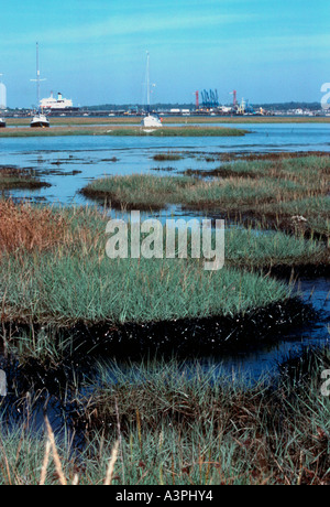 Inquinato paludi dopo la fuoriuscita di olio dalla raffineria Fawley - New Forest Hampshire - REGNO UNITO Foto Stock