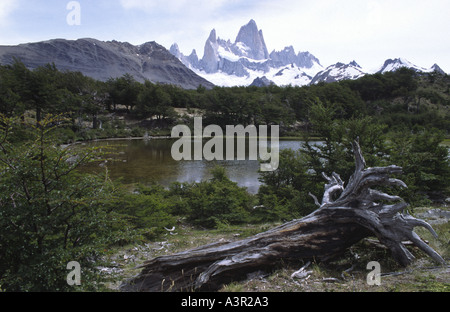 Il Fitz Roy la gamma della montagna Cerro El Chalten nel parco nazionale Los Glaciares El Chalten Patagonia Argentina America del Sud Foto Stock