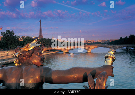 Vista sul Fiume Senna Parigi Francia Foto Stock