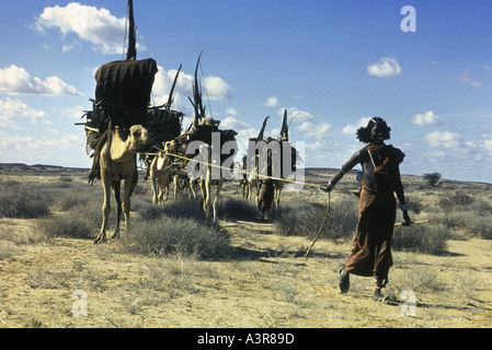 Gabbra donna conduce un cammello in treno attraverso il deserto Chalbi nel nord del Kenya Africa orientale Foto Stock