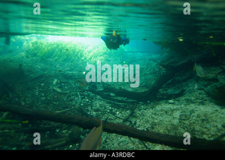 Snorkeler fluisce giù nel fiume naturale di acqua dolce primavera preservare Aquário Bonito naturale del Mato Grosso do Sul in Brasile Foto Stock