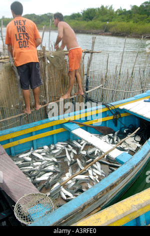 I pescatori la cattura di pesci in un legno tradizionale trappola a Cananeia São Paulo in Brasile Foto Stock