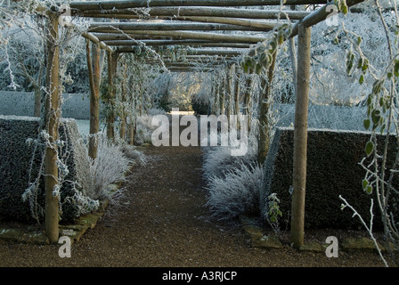 Rime brina sulle rose su pergola in un giardino formale impostazione REGNO UNITO Foto Stock