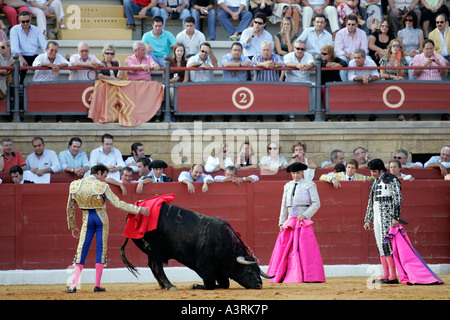 Enrique Ponce colpi un boll morente dopo aver accoltellato esso Espartinas provincia di Siviglia Spagna 8 Ottobre 2006 Foto Stock