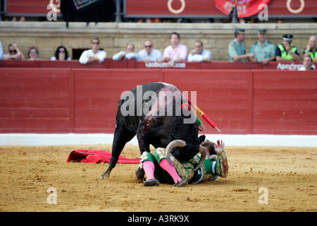 El Juli di essere catturati da torero bull non era gored né feriti Foto Stock