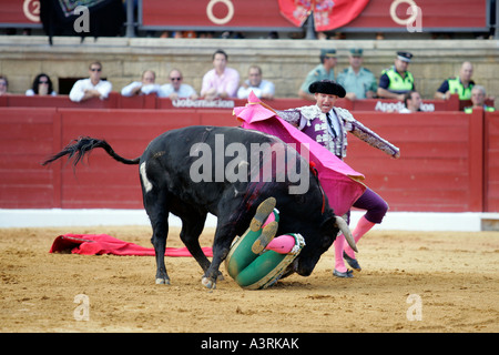 El Juli di essere catturati da torero bull non era gored né feriti Foto Stock