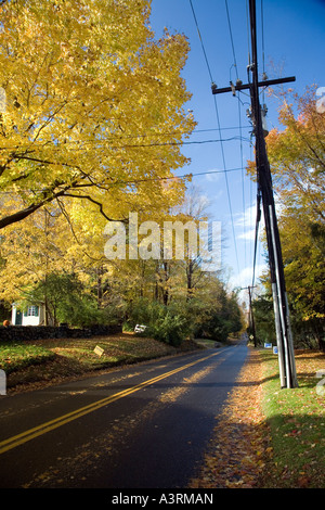 Strada secondaria in autunno nel Connecticut USA Foto Stock