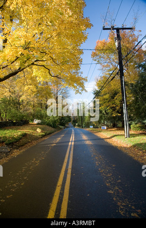 Strada secondaria in autunno nel Connecticut USA Foto Stock