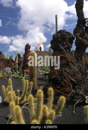 Vista di Cesare Manriques Jardin de Cactus a Lanzarote Foto Stock