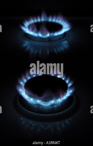 Masterizzazione di gas domestico FORNELLI CON BLUE FLAMES RE UN AUMENTO DEL CARBURANTE GAS Costi Costo bollette RISCALDAMENTO .UK. Foto Stock