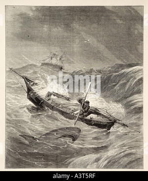 Squalo attacca barca lunga fila vela tempesta onda grande oceano mare lancia arpione difendere lotta coraggioso pericolo pericolo marine nauti marittima Foto Stock