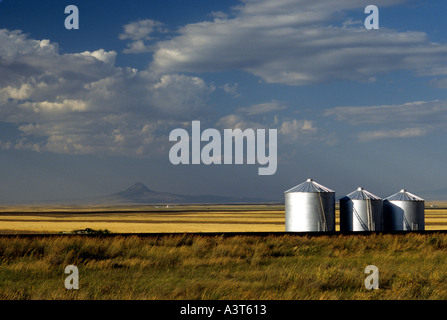 Serbatoio granella nel nord del Montana su US Highway n. 2 Foto Stock