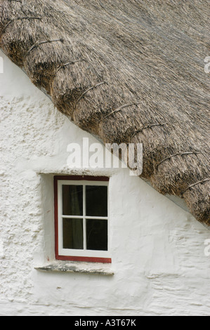 Troedrhiwfallen tetto di paglia gallese Cribyn cottage Ceredigion, di proprietà di Greg Stevenson 'sotto la sterpaglia' azienda vacanze Galles Foto Stock