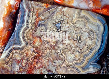 Tagliata e lucidata Lago Superior agate dal vicino a Marquette Mich Foto Stock