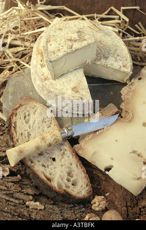 Tomme e Beaufort, formaggi dalle Alpi Pennine, Francia, Savoie Foto Stock