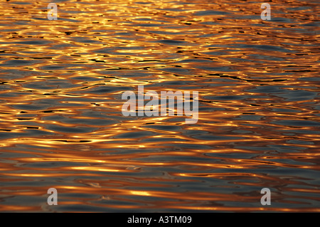 Bagliore dorato su acqua dsca 1849 Foto Stock