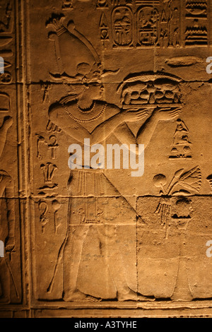 Incisioni sulle pareti del tempio di Iside, Sito Patrimonio Mondiale dell'UNESCO, isola di Philae, Aswan, Egitto Foto Stock