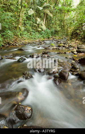 Panama, Parco Nazionale del Darién, area di Cana, piccolo ruscello e rocce nel deserto di Darien Foto Stock