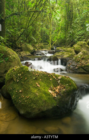 Panama, Parco Nazionale del Darién, area di Cana, piccolo ruscello e rocce nel deserto di Darien Foto Stock