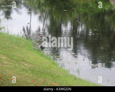 Merry ripples Foto Stock