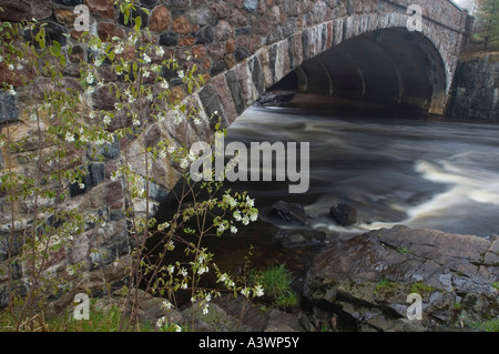 Un ponte in pietra che attraversa l'Eau Claire River a zona dei Dells dell'Eau Claire River County Park nella maratona County Wisconsin Foto Stock