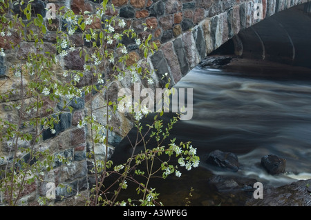 Un ponte in pietra che attraversa l'Eau Claire River a zona dei Dells dell'Eau Claire River County Park nella maratona County Wisconsin Foto Stock