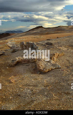 Geothermally regione attiva vicino a Myvatn in Islanda Foto Stock