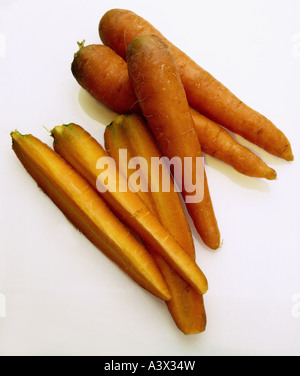 La botanica, la carota (Daucus carota), dimezzato taproots, studio shot, radice, radici vegetali, carotts, Umbelliferae, Apiaceae, Rosidae, Foto Stock