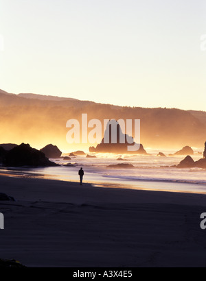 Persona a piedi lungo la spiaggia di nebbia al Port Orford oregon Foto Stock