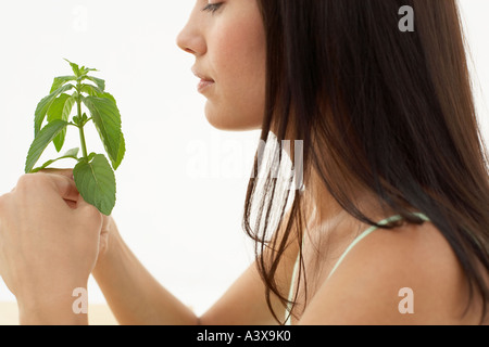 Una giovane donna tenendo un gambo di foglie di basilico Foto Stock