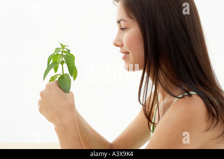 Una giovane donna tenendo un gambo di foglie di basilico Foto Stock