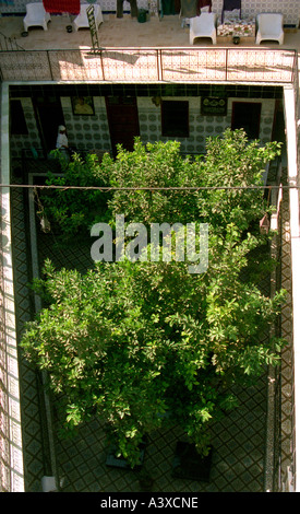 Alberi di arancio nel cortile centrale del piastrellate e terrazzamenti Hotel Afriquia, Marrakech, Marocco Foto Stock