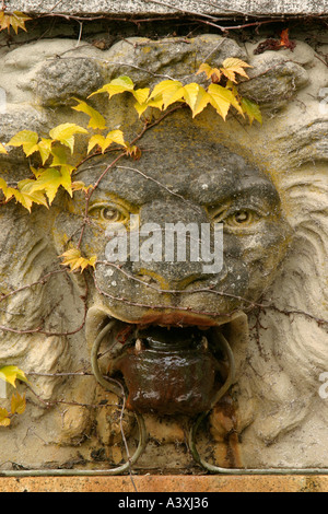 Testa leone Fontana al Hartley Park Victoria British Columbia Isola di Vancouver in Canada Foto Stock