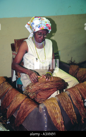 Partagas fabbrica di sigari Avana in Cuba Foto Stock