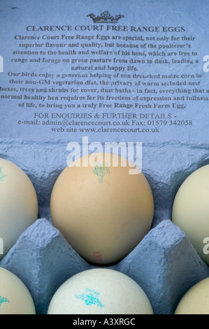 Razza rara free range uova dal vecchio Cotswold Legbar polli Foto Stock