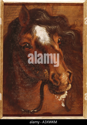 "Belle Arti, Dyck, Anthony van, (1599 - 1641), pittura, "testa di cavallo", Pommersfelden, storico, storico, Europa, Paesi Foto Stock